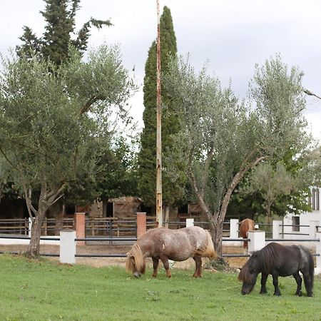 Masia Can Rovira - Esc1852 San Lorenzo de Hortons Luaran gambar
