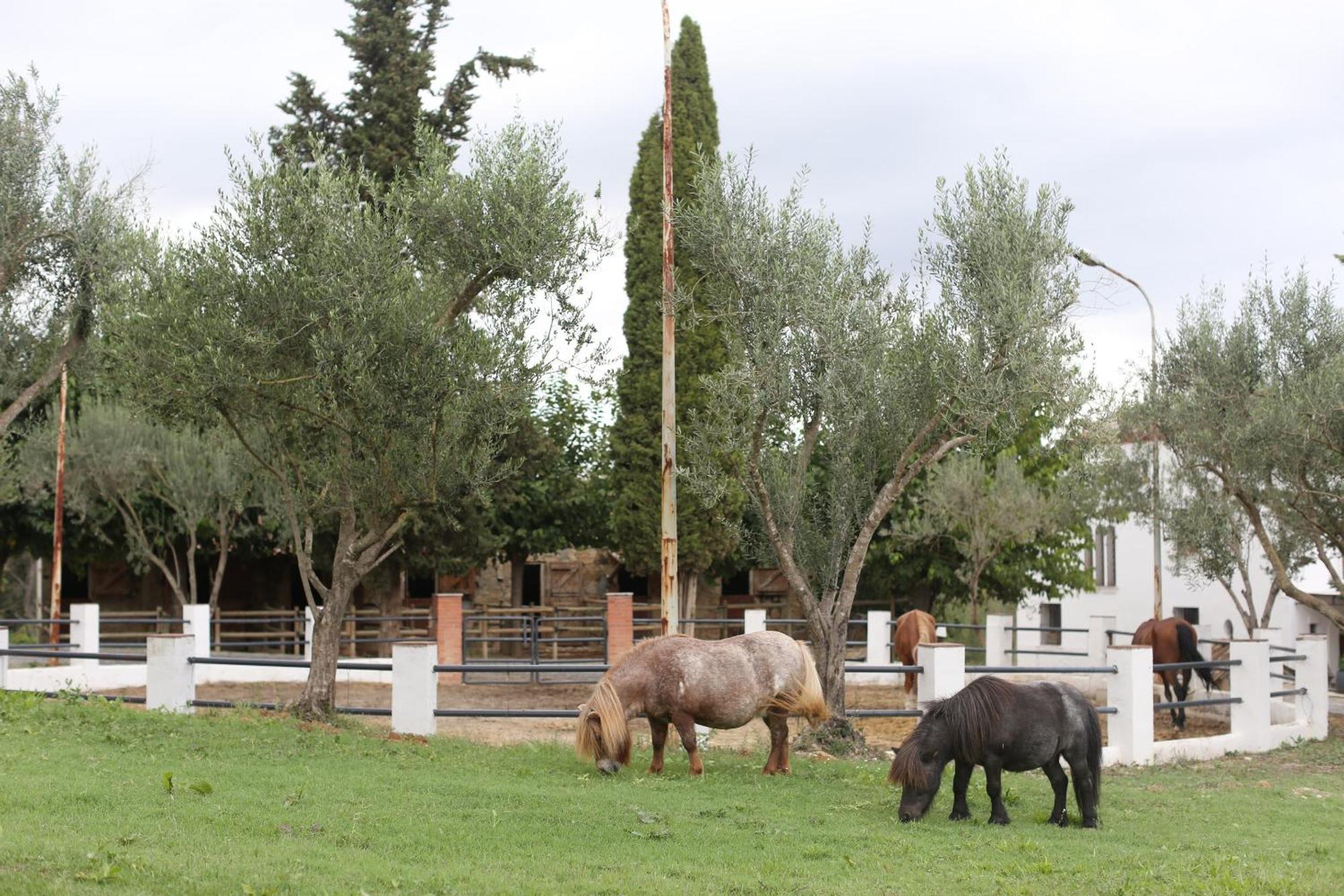 Masia Can Rovira - Esc1852 San Lorenzo de Hortons Luaran gambar